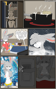 South Island Daily 1 - 07