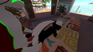 Cat and otter together.(Mayu and Awtter)(Movie)link