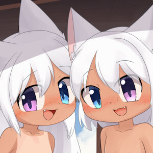 Twin Fox kit