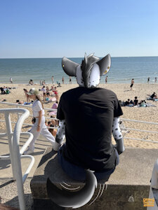 Yeen to the beach