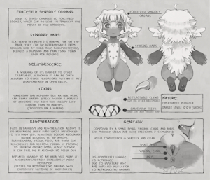 Umi infosheet