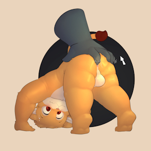 Gripped YCH