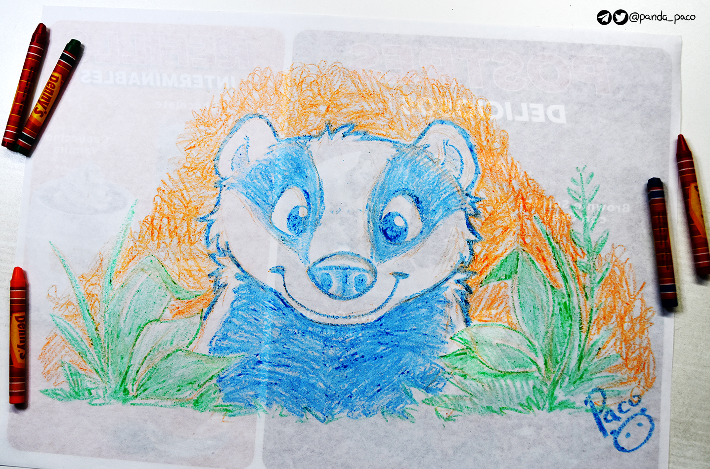 5531792_pandapaco_1140badger_dennys.png