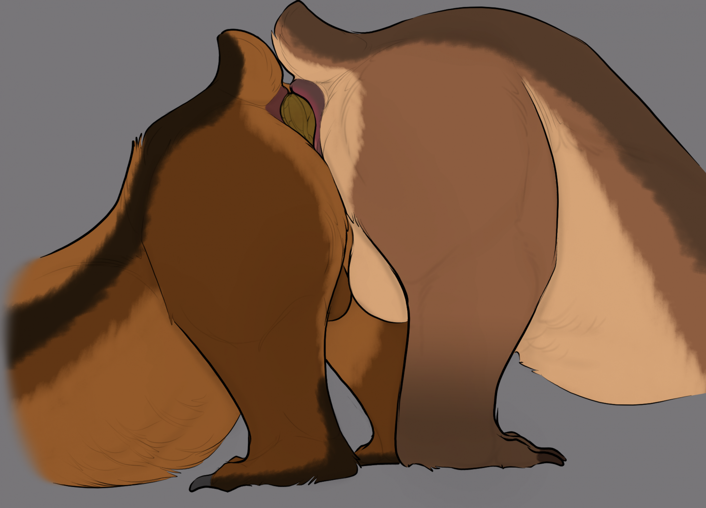 5536324_Kuruk_1745259902.kurukthebear_anal_transfer_scat_.png