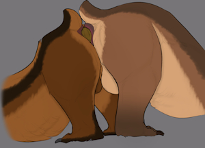 5536324_Kuruk_1745259902.kurukthebear_anal_transfer_scat_.png