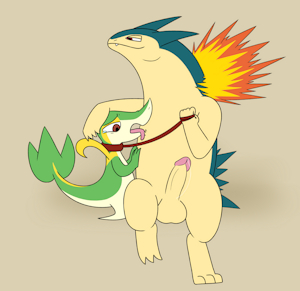 Typhlosion def. Snivy