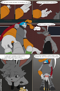 South Island Daily 1 - 11