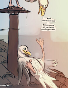 seagull dudes