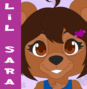lil sara bear
