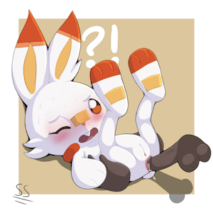 Scorbunny Anal