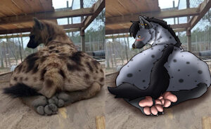 Hyena Butt/paws meme