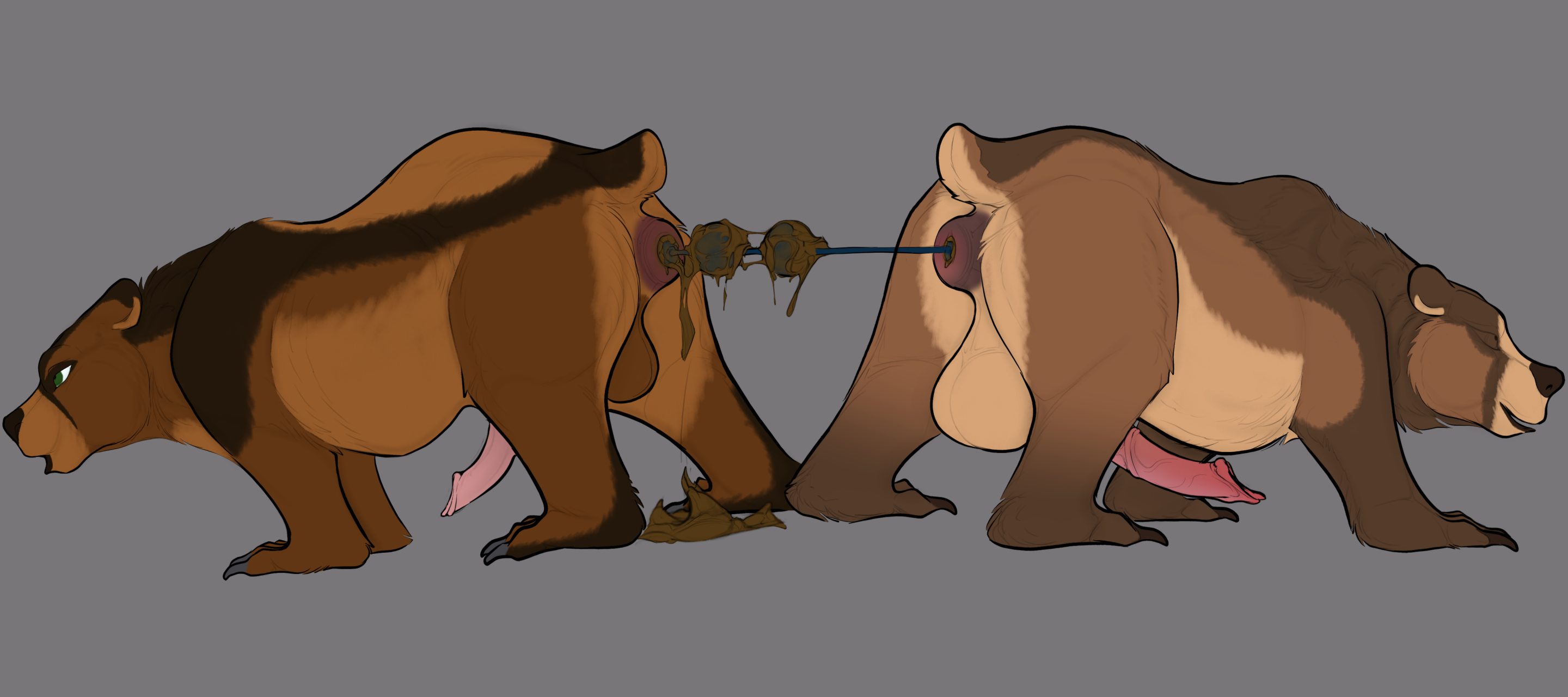 5572311_Kuruk_1747692287.kurukthebear_anal_tug_of_war_scat_.png