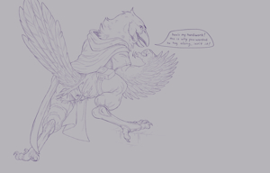 Wren The Flying Assassin