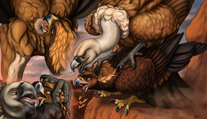 Vulture fucketlist: Griffon vulture