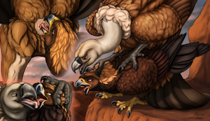 5574253_Ferobird69_sawyer_and_griffon_vult_fucketlist_clean.png