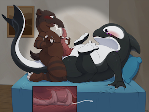 Sex the Orca