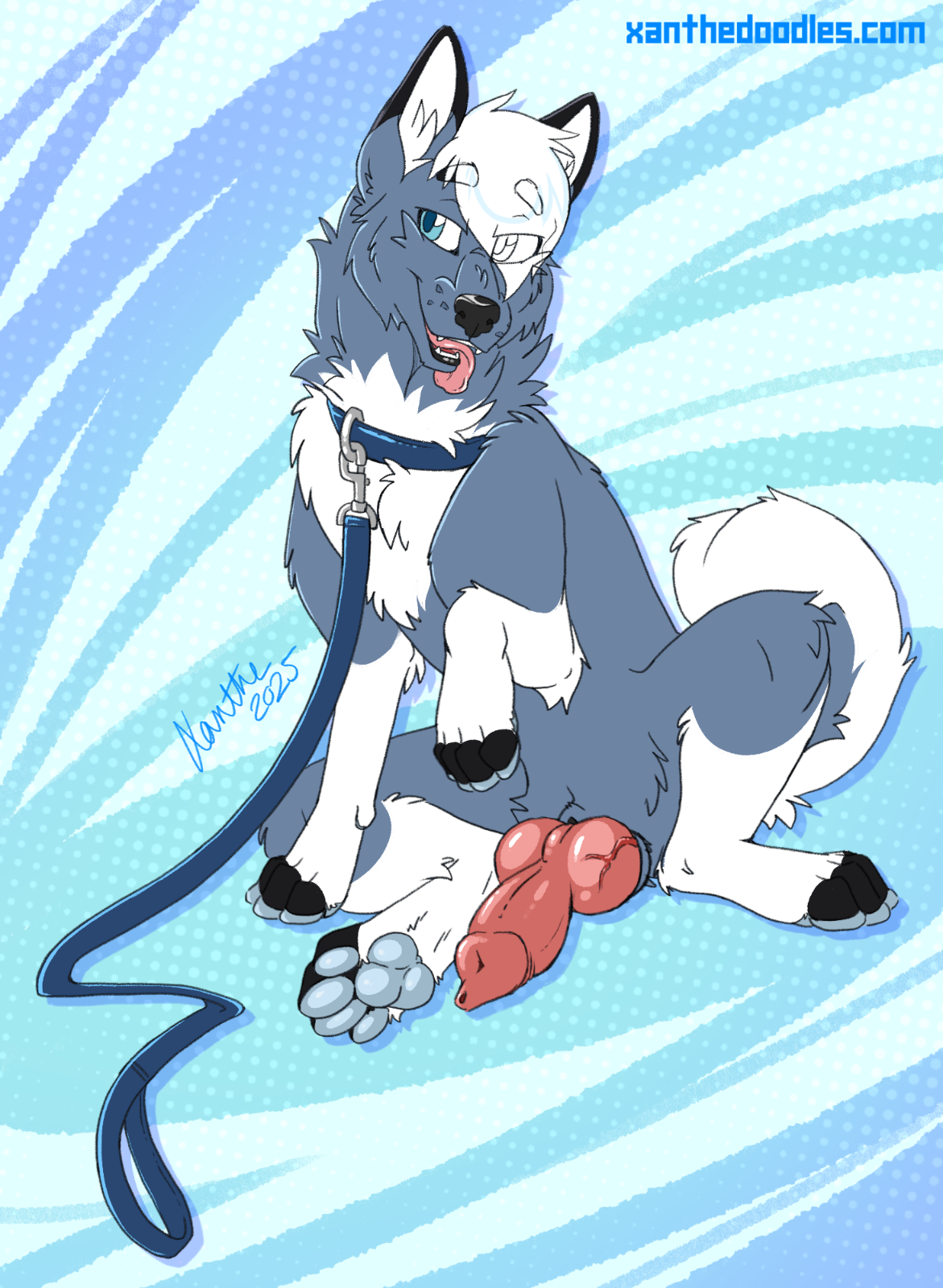 5581914_Xanthe_6_teadkn_colouredsketch_v3.png