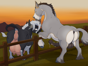 Over the Fence