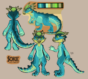 Sokie- Anthro