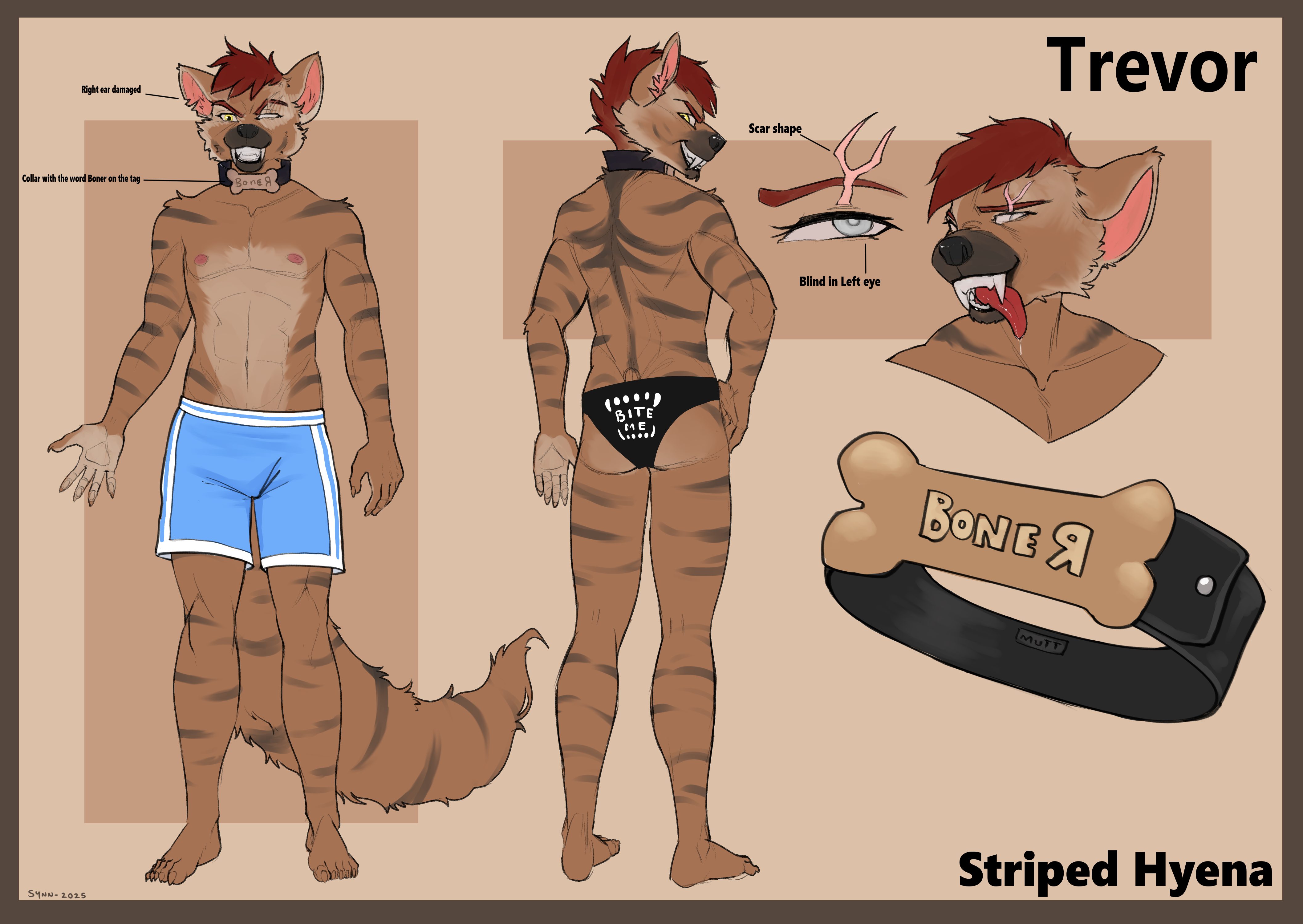 5587828_SynnfulTiger_hyena_ref_sheetsfw.png