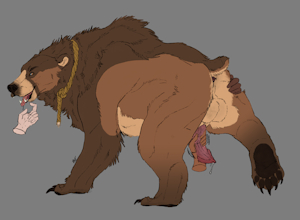 Bear For Sale! Color