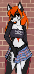 Punk Wolf