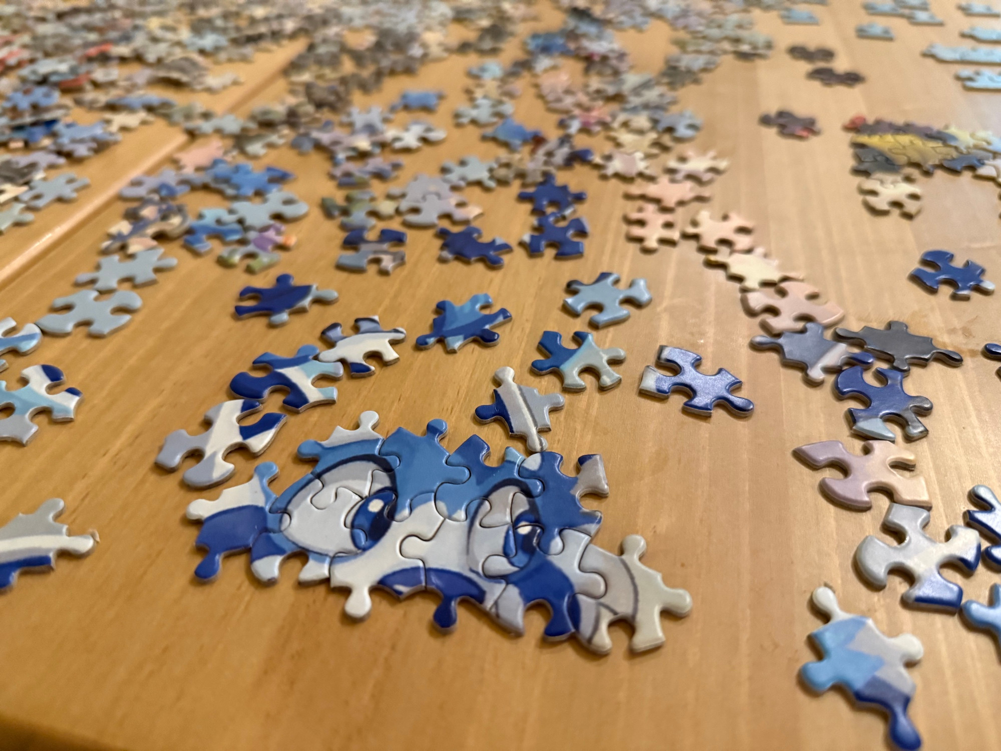 5599775_pandapaco_03.jpg