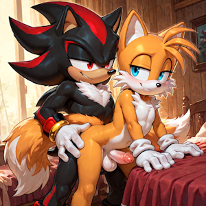 Shadow and Tails Love making