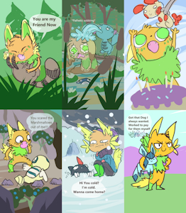 My realistic Pokemon Team