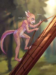 Determination