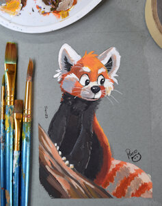 Pandita Rojo