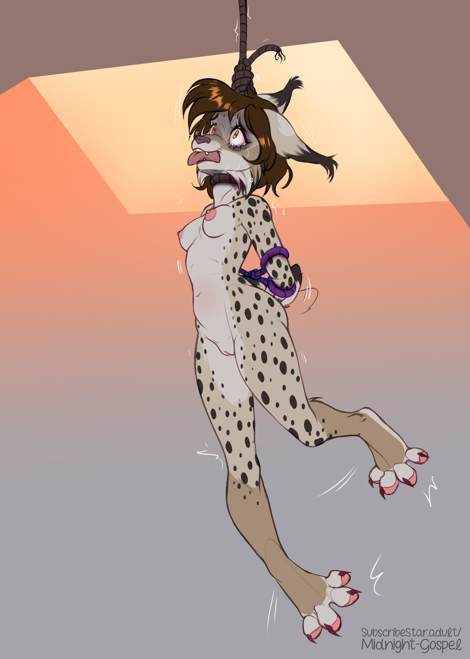 5620475_Nightdancer_dropped_2160p.jpg