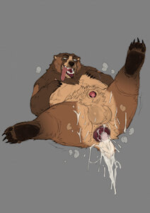 Well Used Bear Color