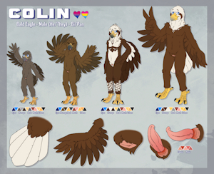 [C] Colin Ref - Anthro
