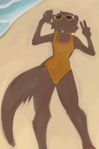 Shadow Swimsuit