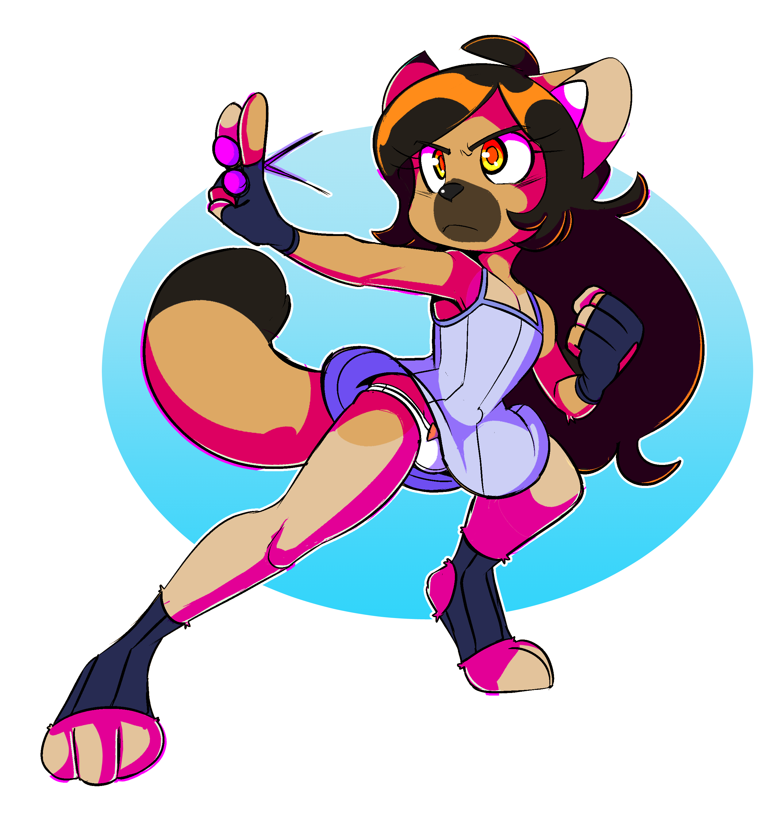 5624341_PantyRanger_ninja_cat.png