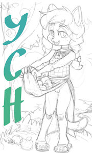 24h-Auction: Apples