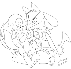 Riolu Investigates 