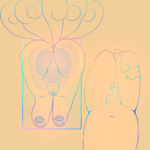 just sketches