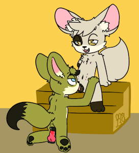 Fennec Boy Playtime