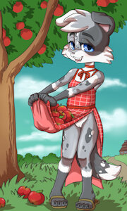 Apples