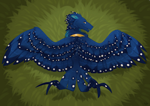Showing Off Dem Pretty Wings