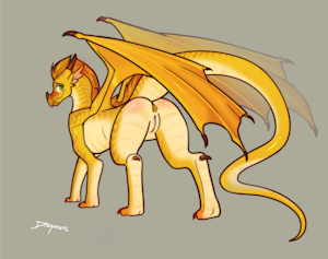 Sunny Quickie