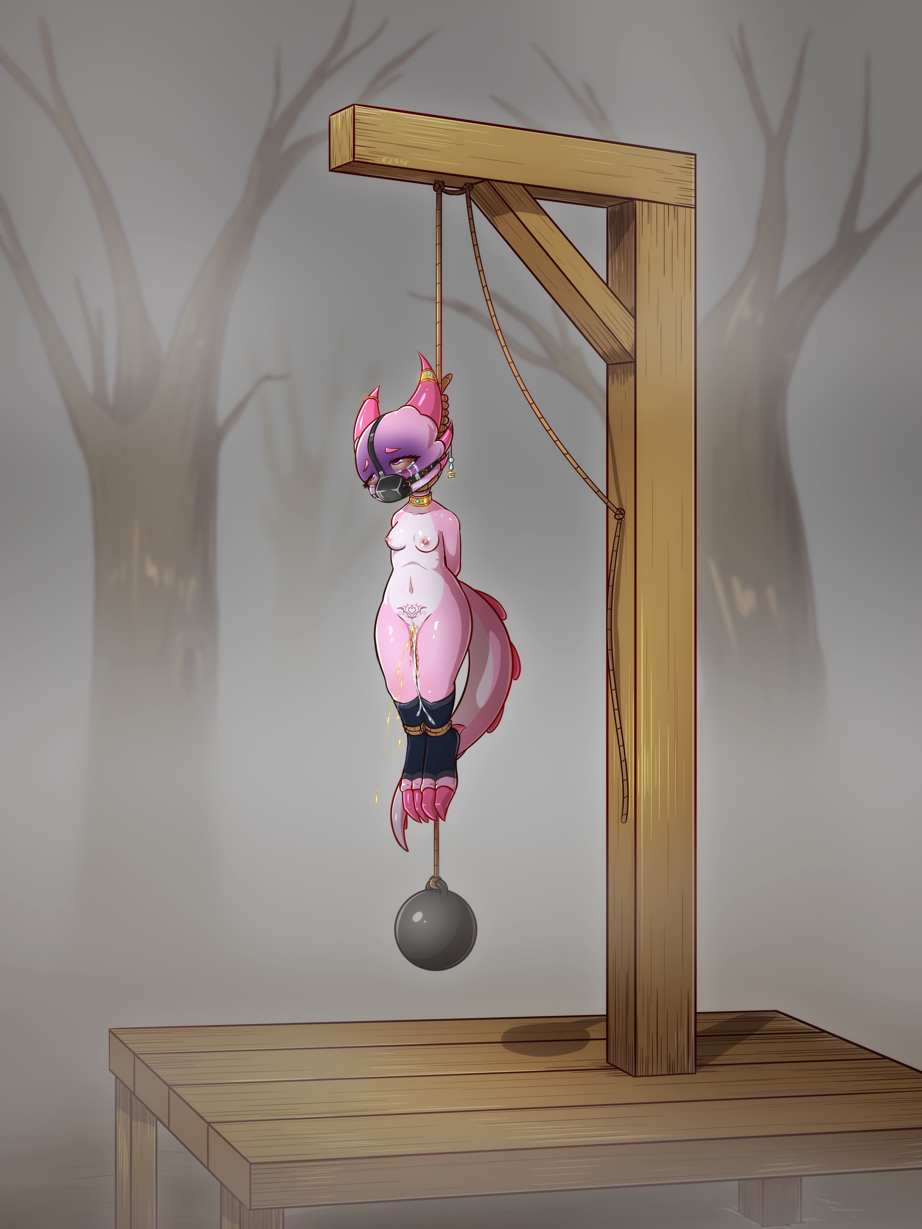 5632713_e254e_color.png