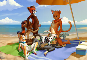 Playing at the beach