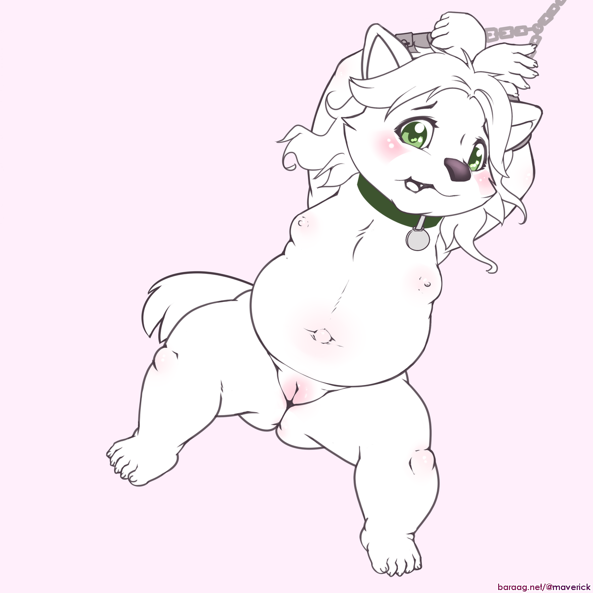 5639006_maverick_sksk-resua-husky1-no_toyu.png