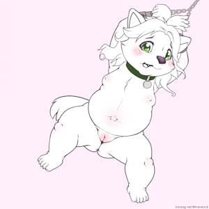 5639006_maverick_sksk-resua-husky1-no_toyu.png