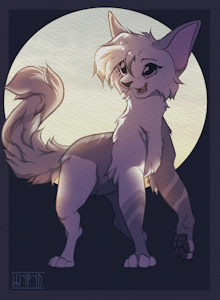 Moon cat