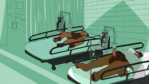 Hospital? or..what?