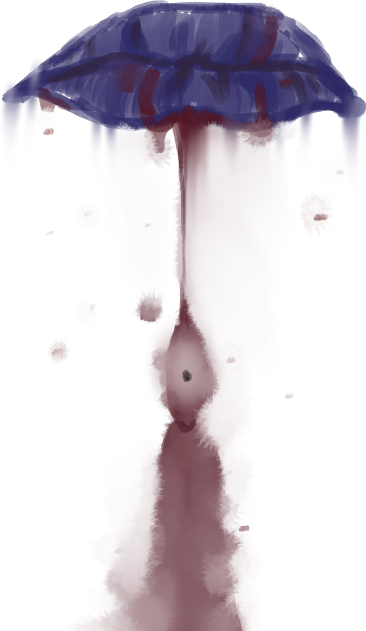 5640400_RaccoonDouglas_imagen_2025-07-14_184858132.png
